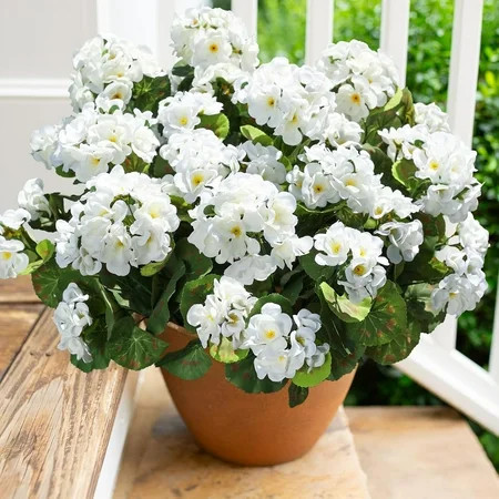 Artificial Geranium Fake Flowers for Outdoors Decoration, 6 Bundles Silk Geraniums White Flower UV Resistant Look Real Faux Plants for Front Door Garden Porch Planter Patio Balcony Yard Indoor Home | Walmart (US)