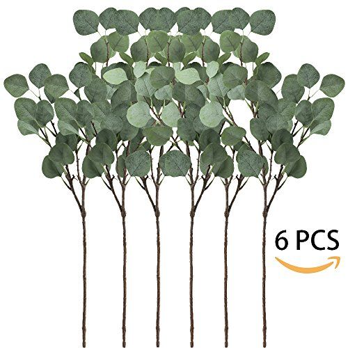 Supla 6 Pcs Artificial Silver Dollar Eucalyptus Leaf Spray in Green 25.5" Tall Artificial Greenery H | Amazon (US)