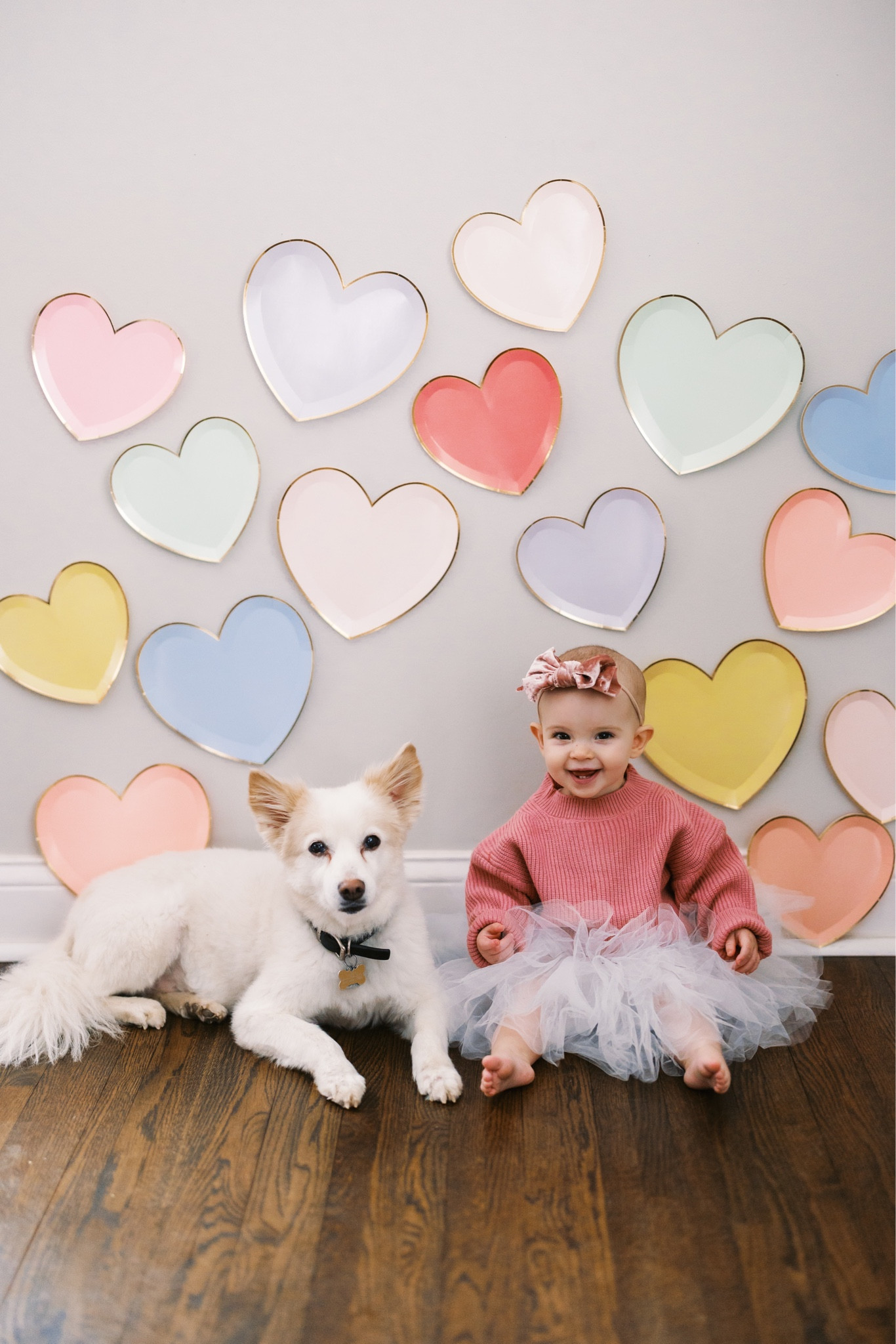 Valentine’s Day photo wall with baby and dog. DIY conversation heart wall 

#LTKkids #LTKbaby #LTKSeasonal