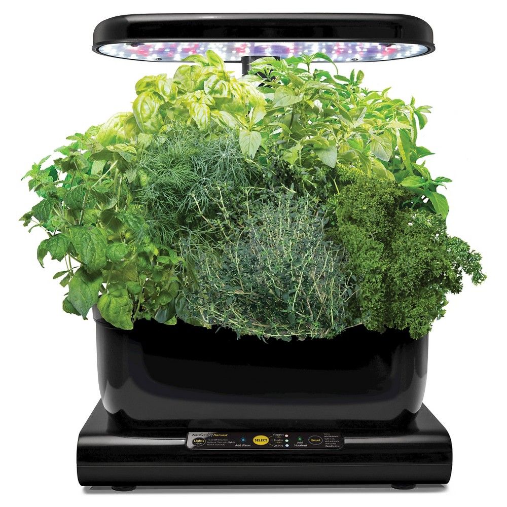 Miracle-Gro AeroGarden Harvest with Gourmet Herbs Seed Pod kit - Black | Target