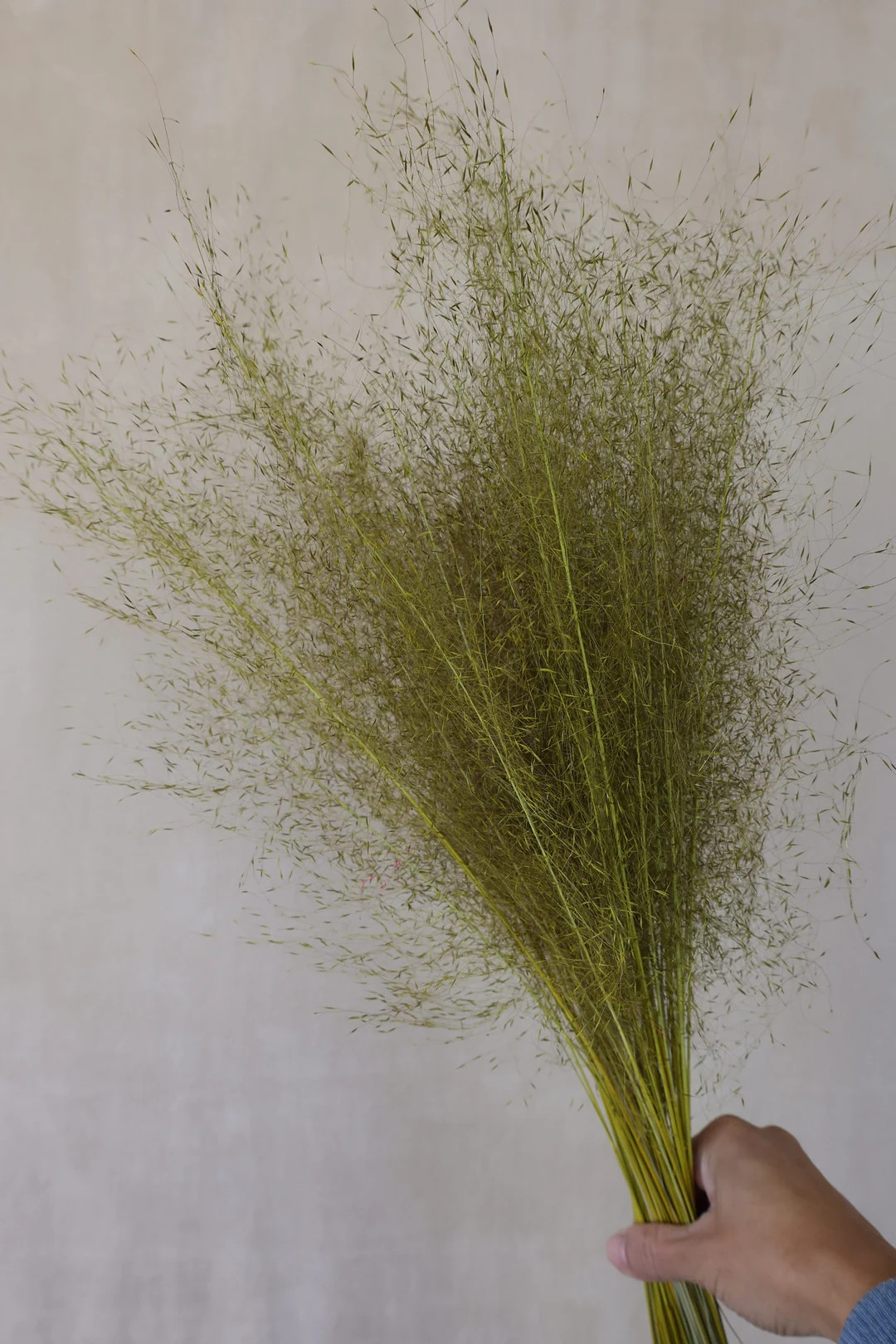 Dried Muhly Grass, Muhly Grass, Grass, Wedding Flowers, Pampas Flowers,home Decor, Gift, Wispy Fe... | Etsy (US)