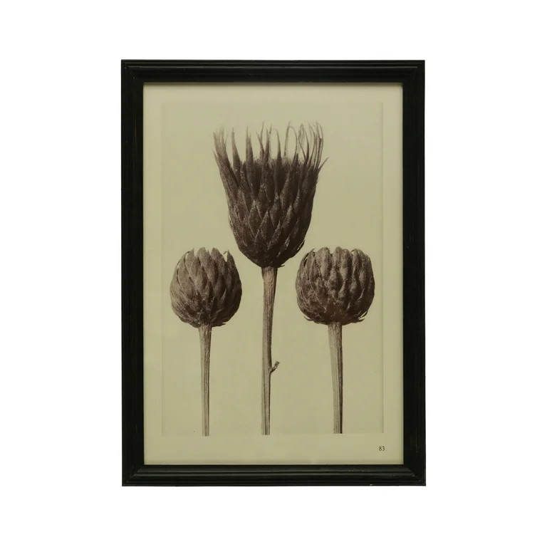 Creative Co-Op Wood Framed Artichoke Print with Glass Cover, Multicolor | Walmart (US)
