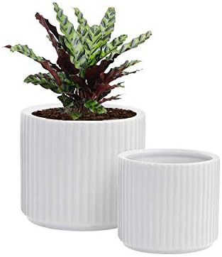 GrowLED Ceramic Pots for Plants with Drainage, Modern Planter, 6 Inch & 5 Inch Plant Pots Containers | Amazon (US)