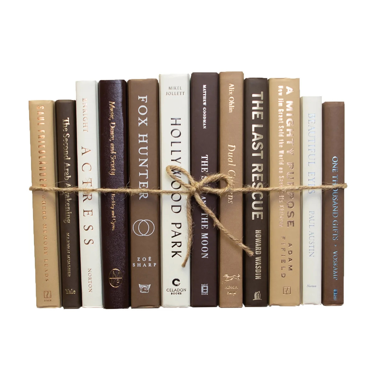 Decorative Books - S'more Book Bundle - 1 Foot of Brown Books | Wayfair North America