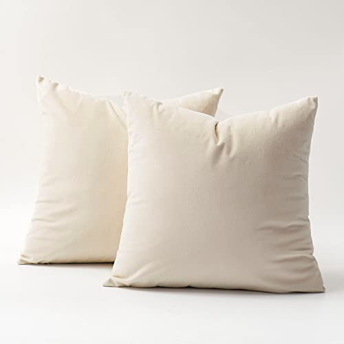 DOMVITUS Velvet Throw Pillow Covers 18x18 Set of 2 Decorative Pillows for Bed Square Couch Pillow... | Amazon (US)