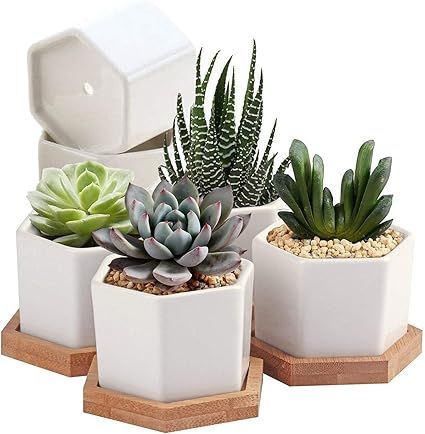 Succulent Plant Pots,OAMCEG 2.75 inch Mini Succulent Planter, Set of 6 White Ceramic Succulent Ca... | Amazon (US)