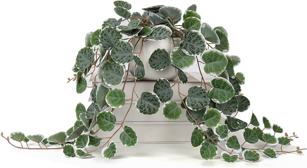 Briful Fake Plants 16'' Artificial String of Hearts Plants with Ceramic Pot Faux Draping Eucalypt... | Amazon (US)