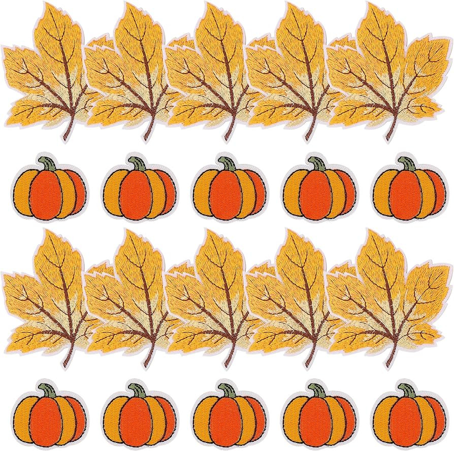 Lucleag 20Pcs Pumpkin Maple Leaf Embroidered Patches, Autumn Theme Iron on Patch Embroidered Sew ... | Amazon (US)