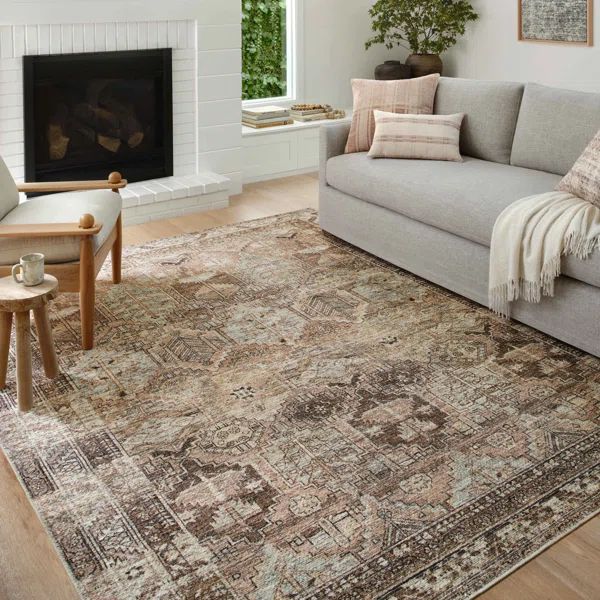 Billie Oriental Clay/Sage Area Rug | Wayfair North America