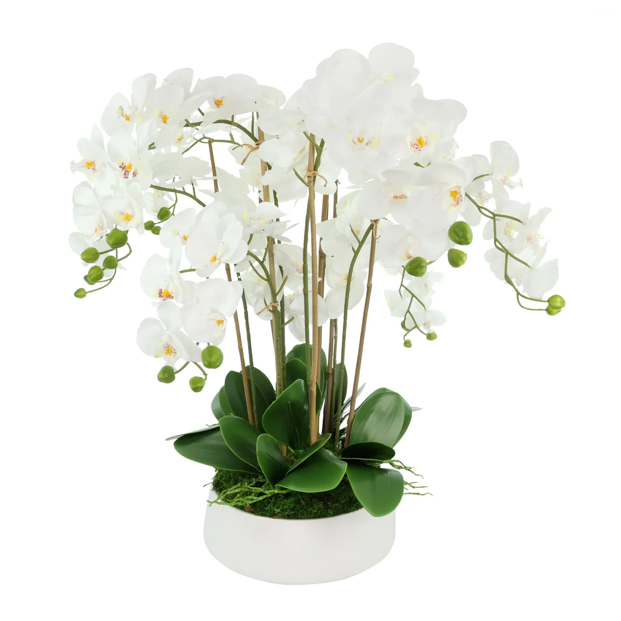 Orchid Arrangement in a Round Ceramic Vase | Perigold