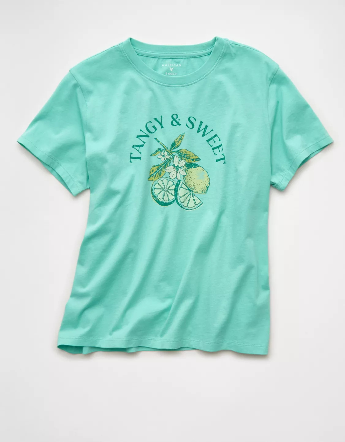 AE Everyday Graphic T-Shirt | American Eagle Outfitters (US & CA)