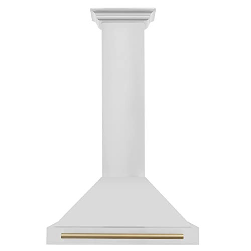 ZLINE 30" Autograph Edition Stainless Steel Range Hood with Stainless Steel Shell and Champagne Bronze Accents | Amazon (US)