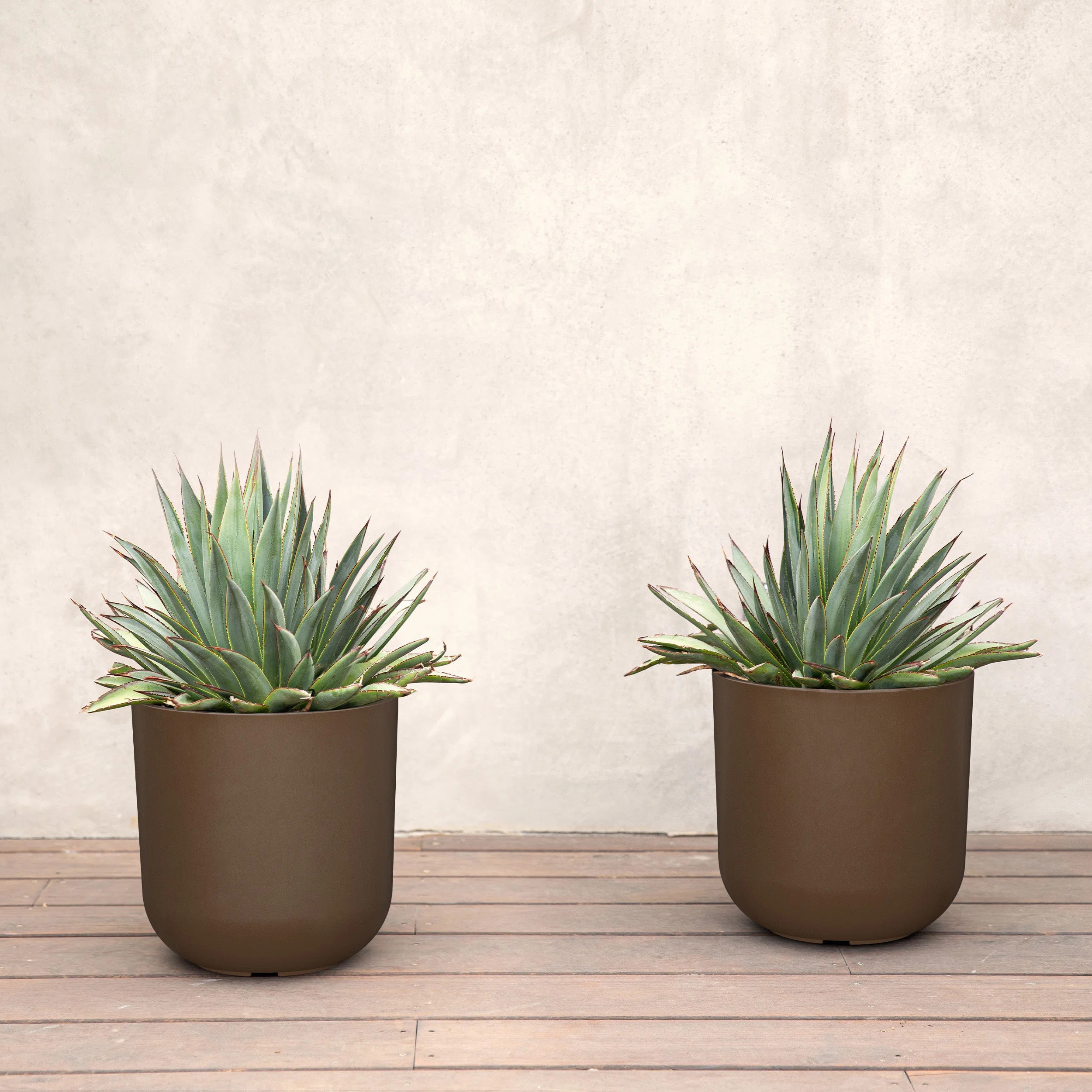 Mason Series Kona Planter | Wayfair North America