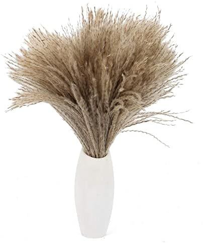 Amazon.com: HUAESIN Natural Dried Pampas Grass 100pcs 17 Inch Tall Reed Grass Fluffy Pampas Grass... | Amazon (US)