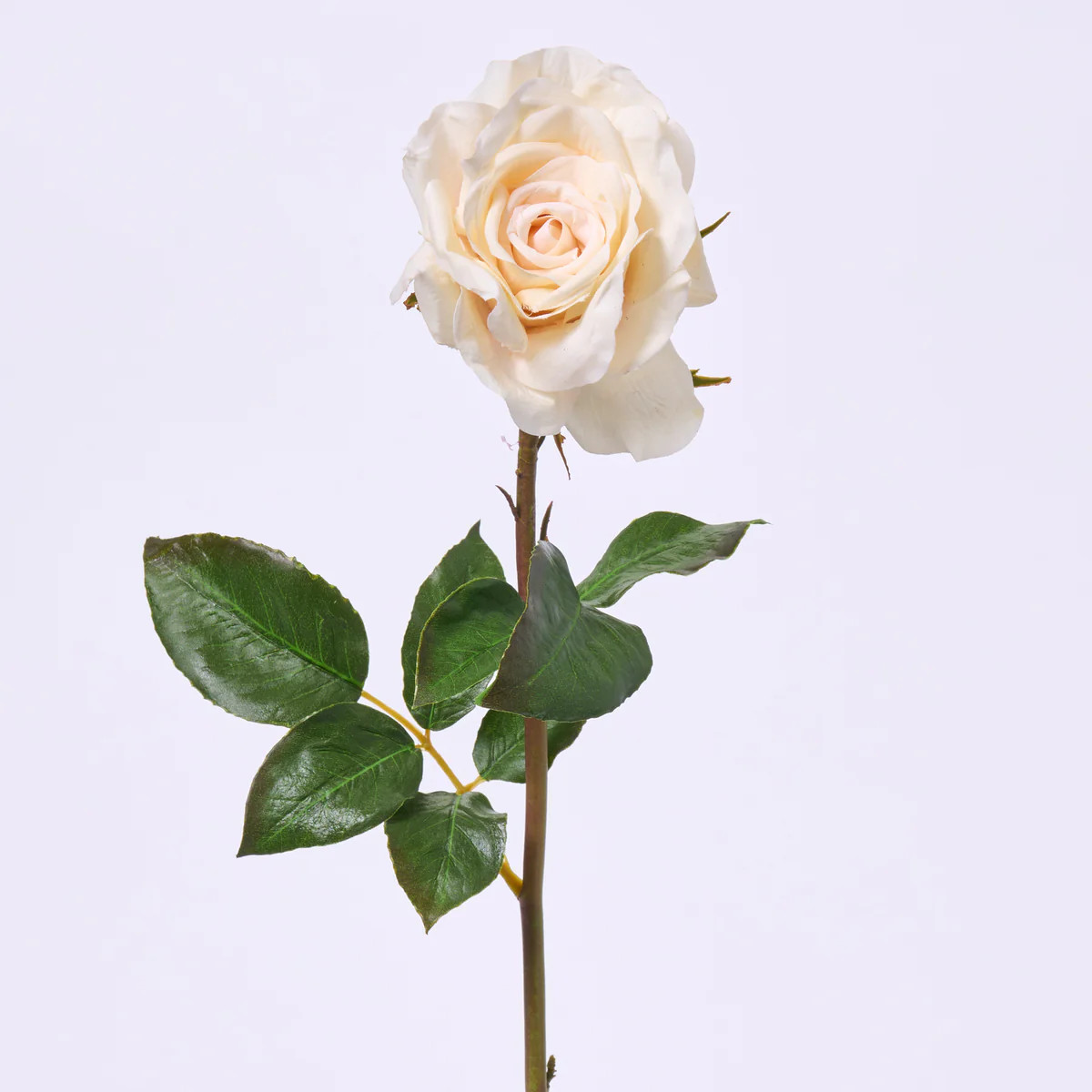 Real Touch Beige Open Dutchess Rose Bloom Single Short Stem Faux Floral Spray  - 20" | Darby Creek Trading