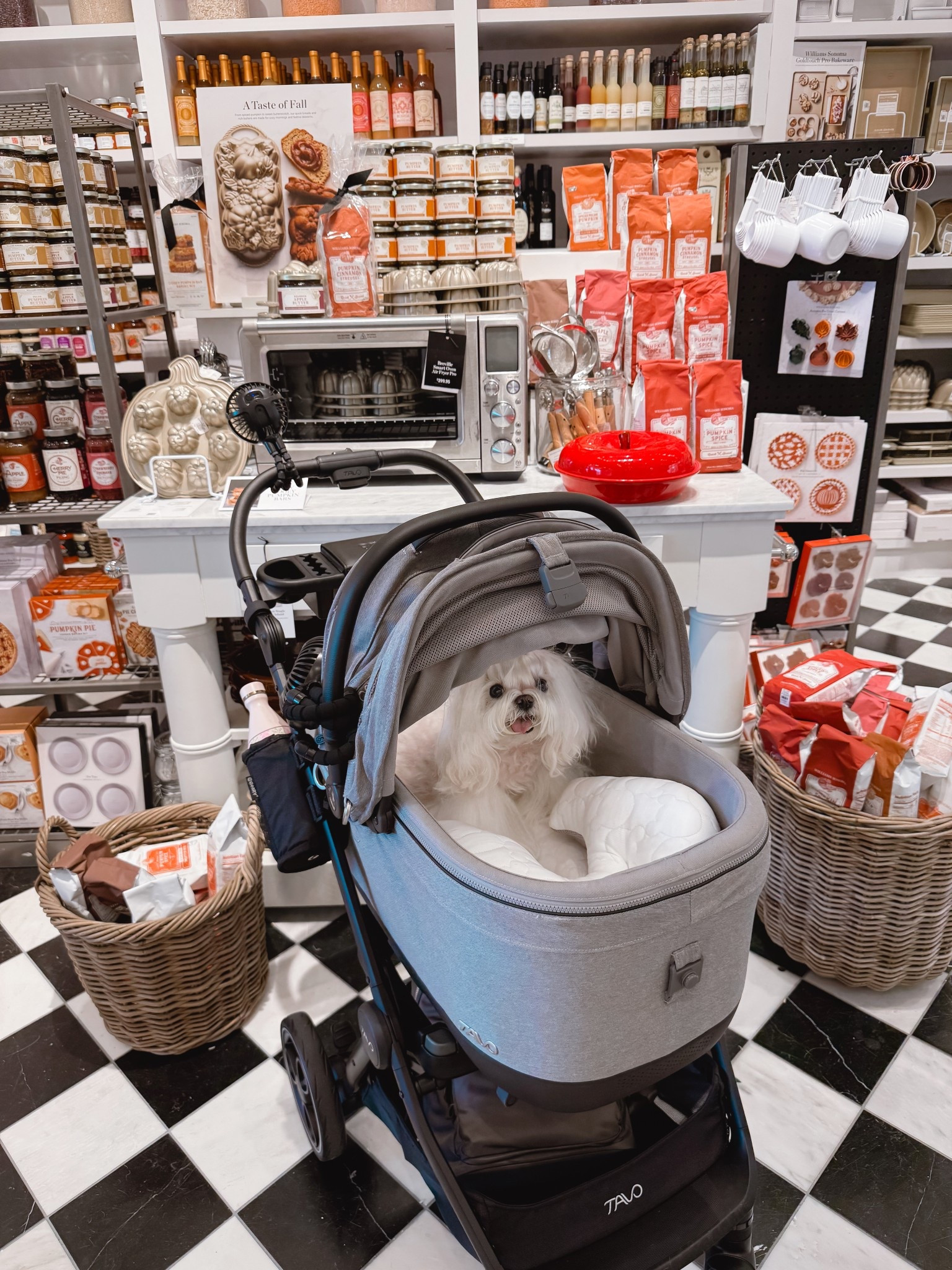 All of the fall things are out at William Sonoma! Grabbing our favorite pumpkin bread mix 🧡

#LTKPets #LTKSeasonal #LTKHome