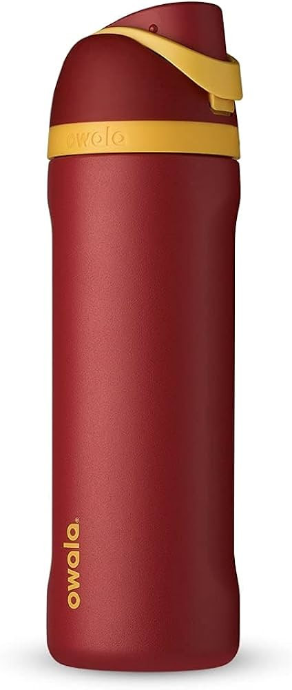 Owala Harry Potter FreeSip Insulated Stainless Steel Water Bottle with Straw, BPA-Free Sports Wat... | Amazon (US)