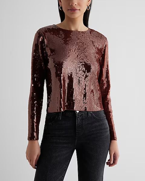 Skimming Sequin Crew Neck Long Sleeve Boxy Tee | Express