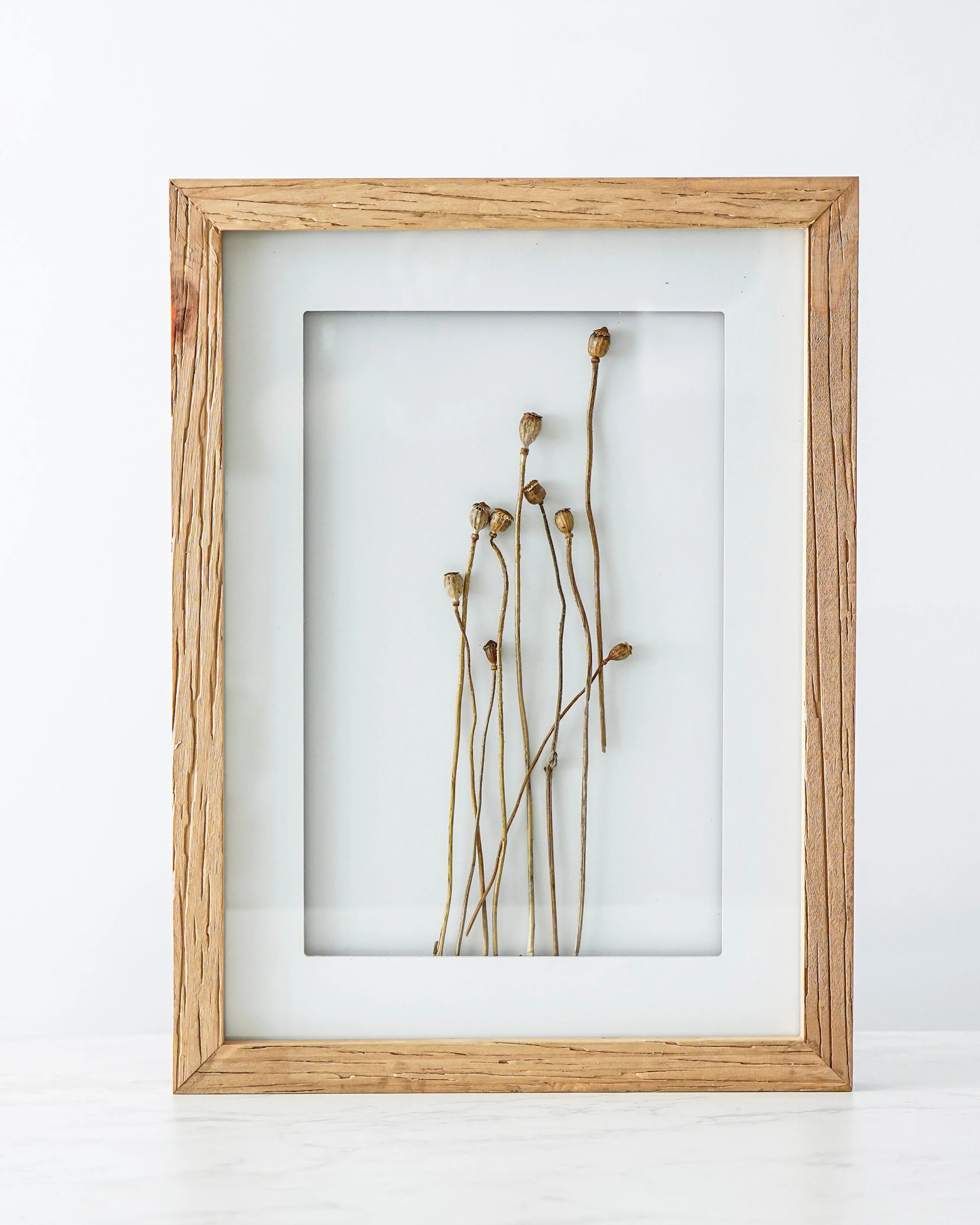 Wood Framed Dried Billy Buttons Wall Decor | MJHome