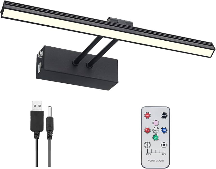 FUNCHDAY Wierelss Picture Light,13inch Picture Light Battery Operated,Remote Control Painting Lig... | Amazon (US)