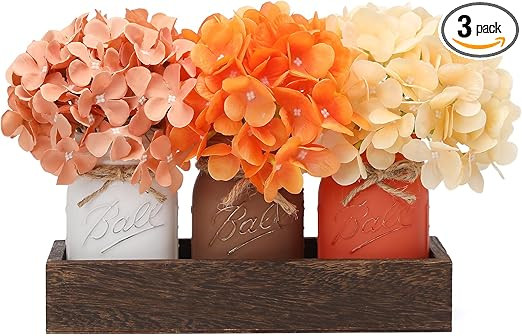 2023 Fall Mason Jars, Fall Centerpiece Table Settings, Wood Tray with 3 Painted Jars, Dining Coff... | Amazon (US)
