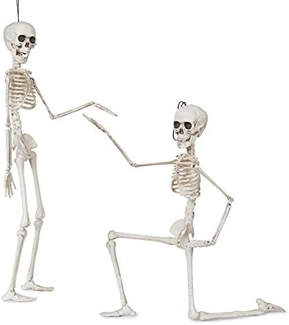 DECORLIFE 2 PCS Skeleton Halloween Decoration, 16 inch Full Body Posable Skeletons, Halloween Dec... | Amazon (US)