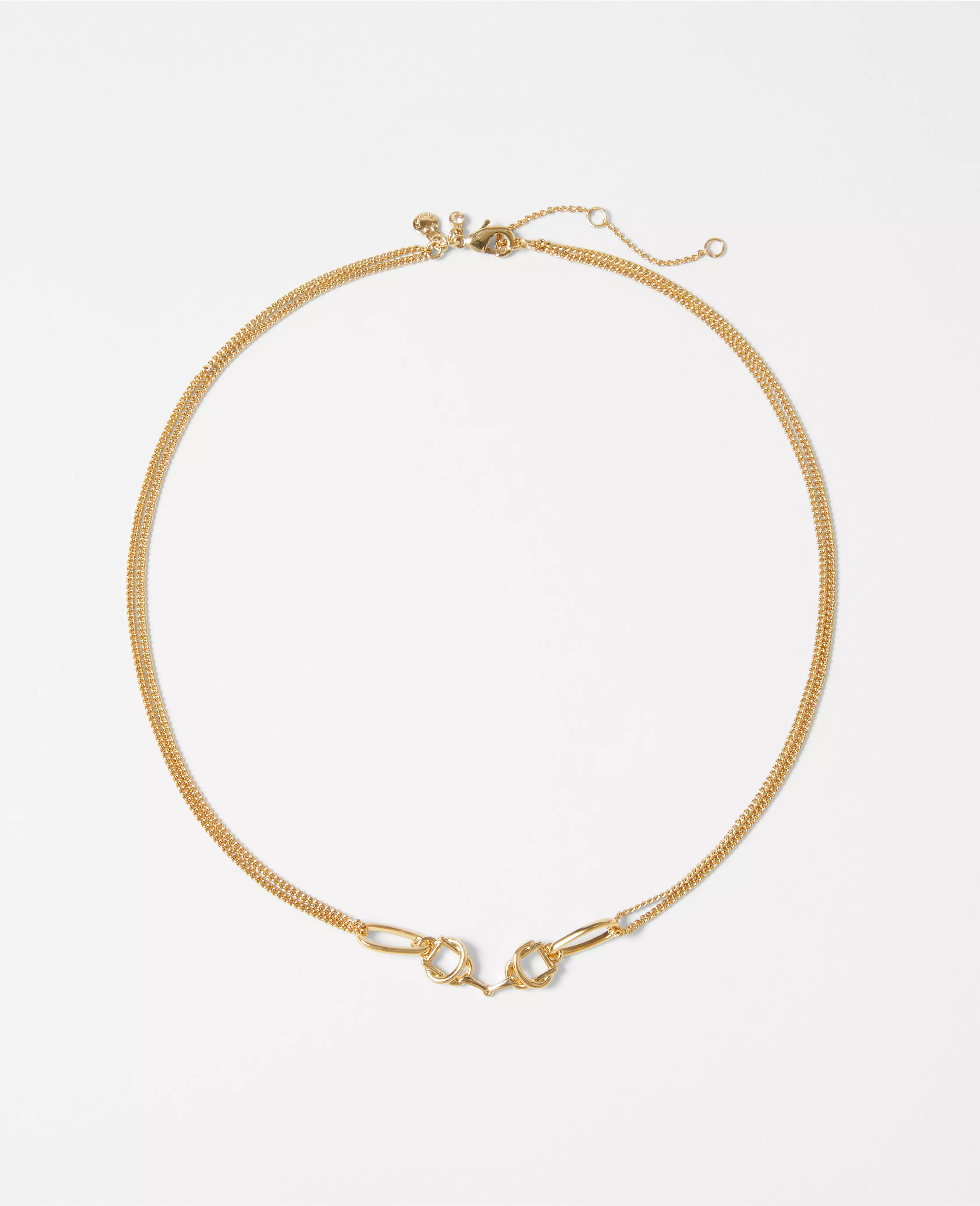Horsebit Necklace | Ann Taylor (US)