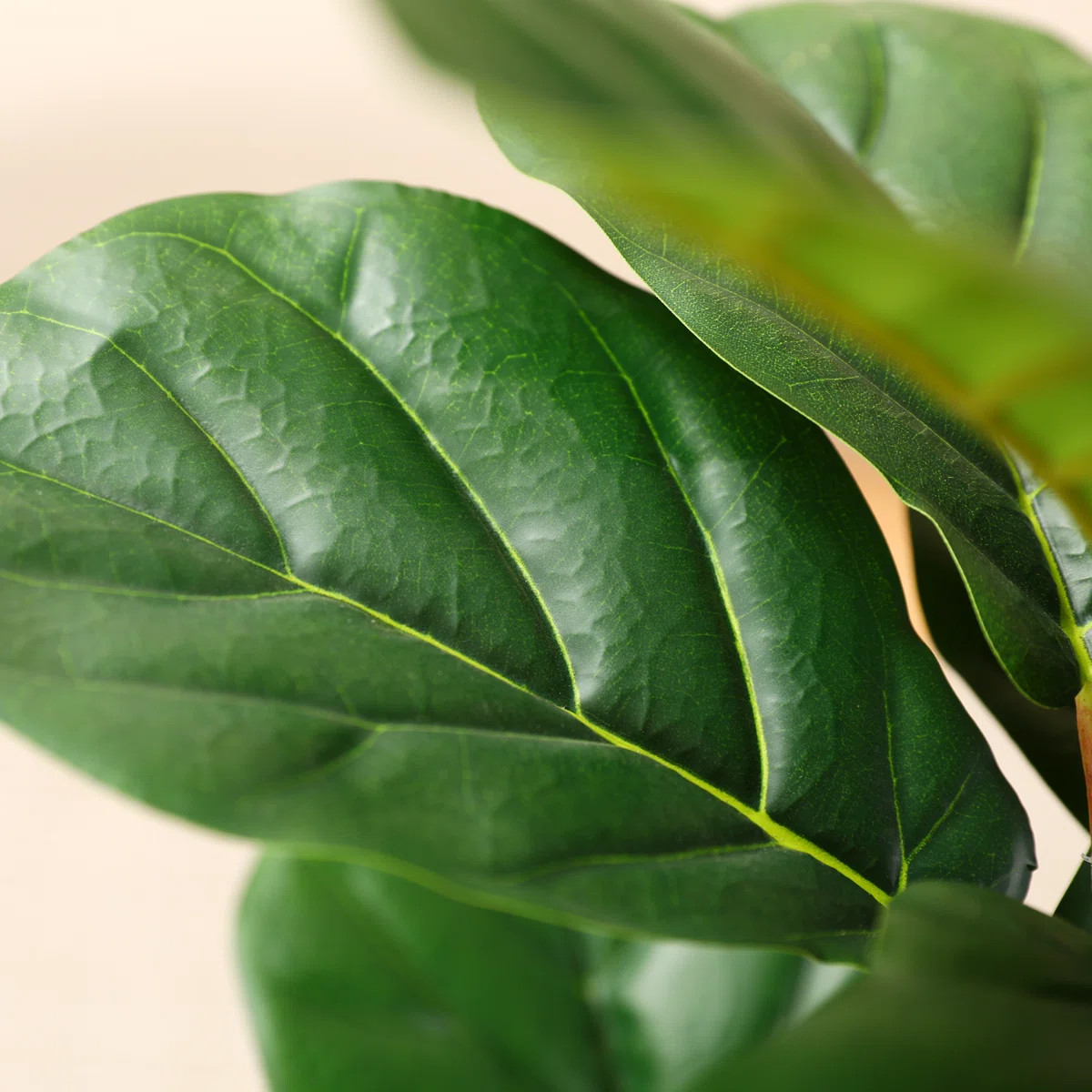 Adarna Artificial Fiddle Leaf Fig Tree with Realistic Leaves and Natural Trunk, Potted Tree | Wayfair North America