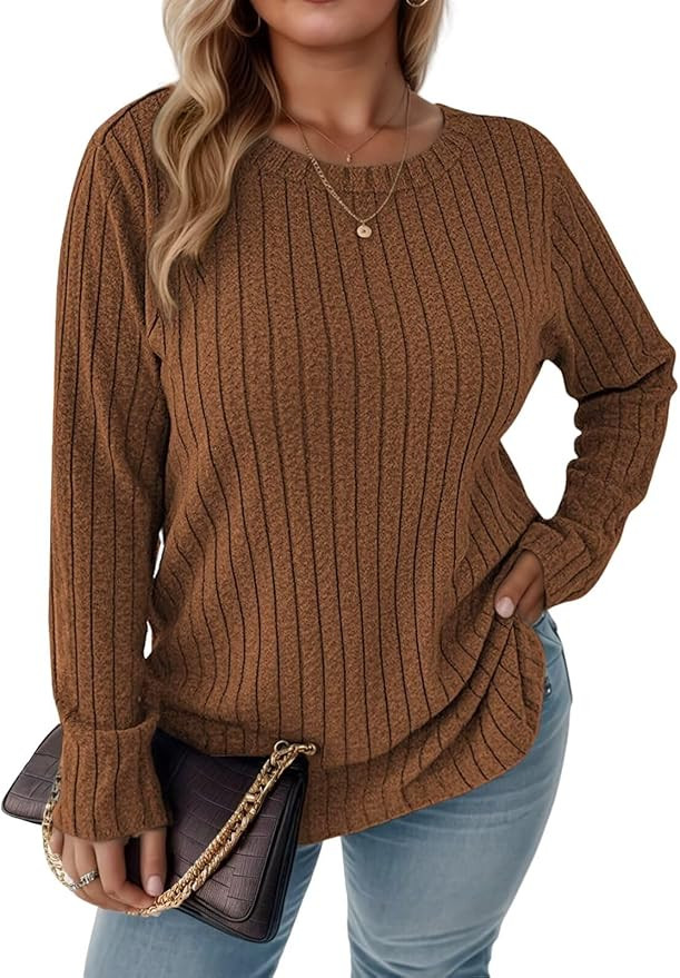 DOLNINE Women's- Plus- Size -Sweatshirts Long Sleeve Crew Neck Casual Fall Tops Lightweight Soft ... | Amazon (US)
