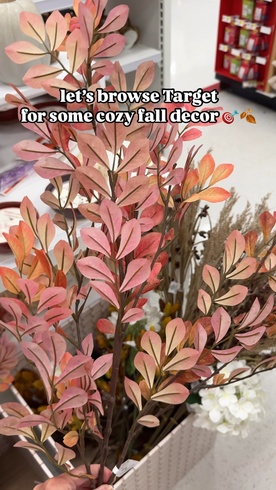 Target fall decor 


#LTKSeasonal #LTKHome #LTKFindsUnder50