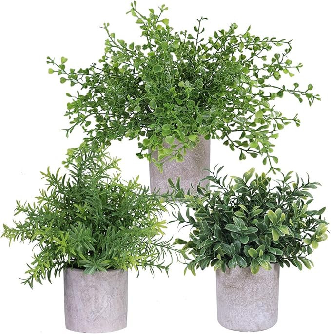 3 Pack Mini Potted Plants Artificial Green Eucalyptus Boxwood Rosemary Greenery in Pots Faux Pott... | Amazon (US)