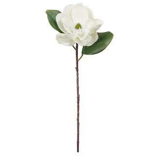 White Magnolia Stem by Ashland® | 25" | Michaels® | Michaels Stores