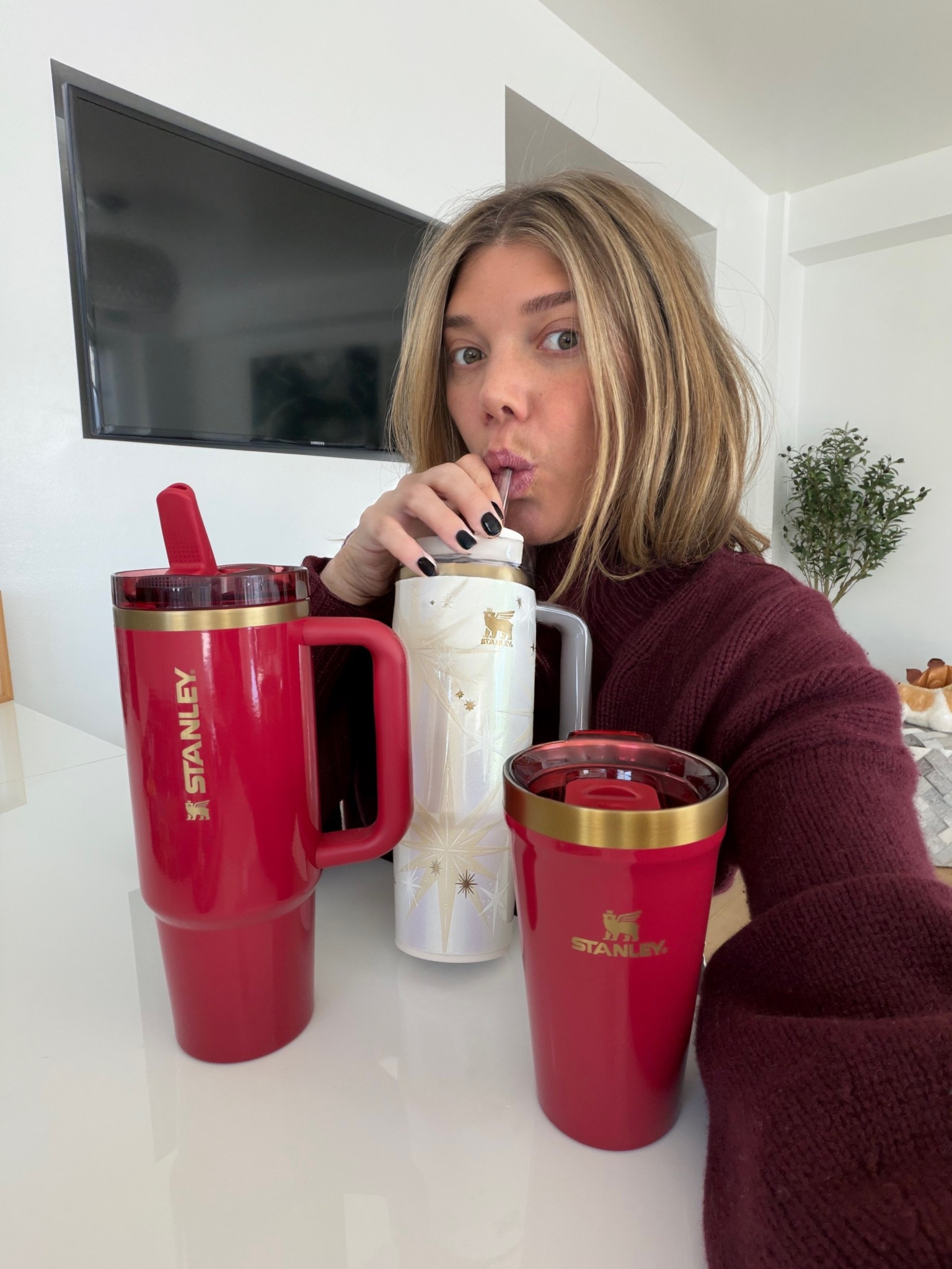 Special holiday edition Stanley’s are available now 🥤#stanleypartner @stanley_brand