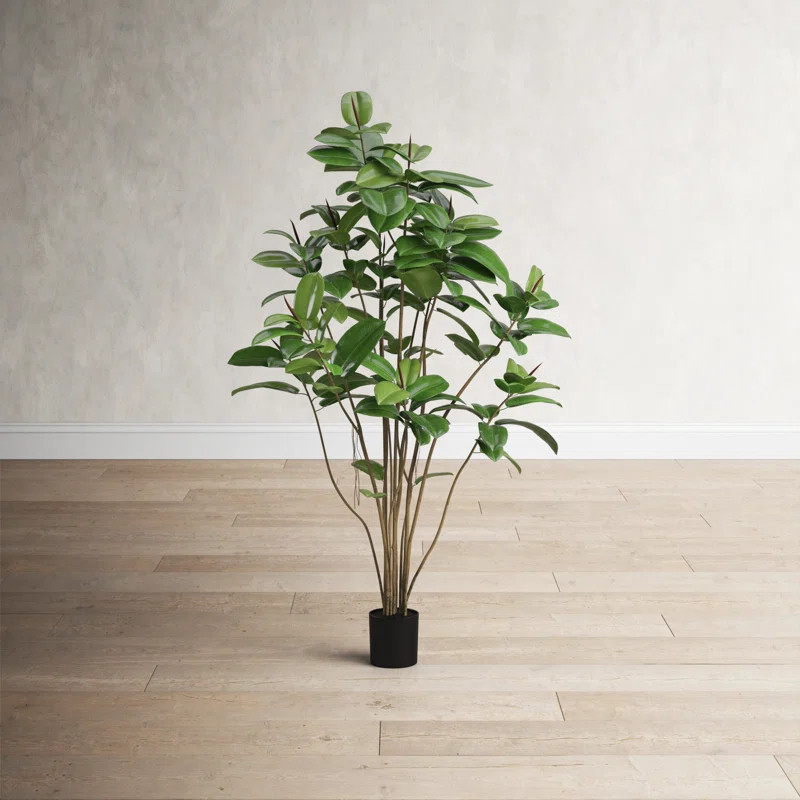 Potted Artificial Green Rubber Tree | Wayfair North America