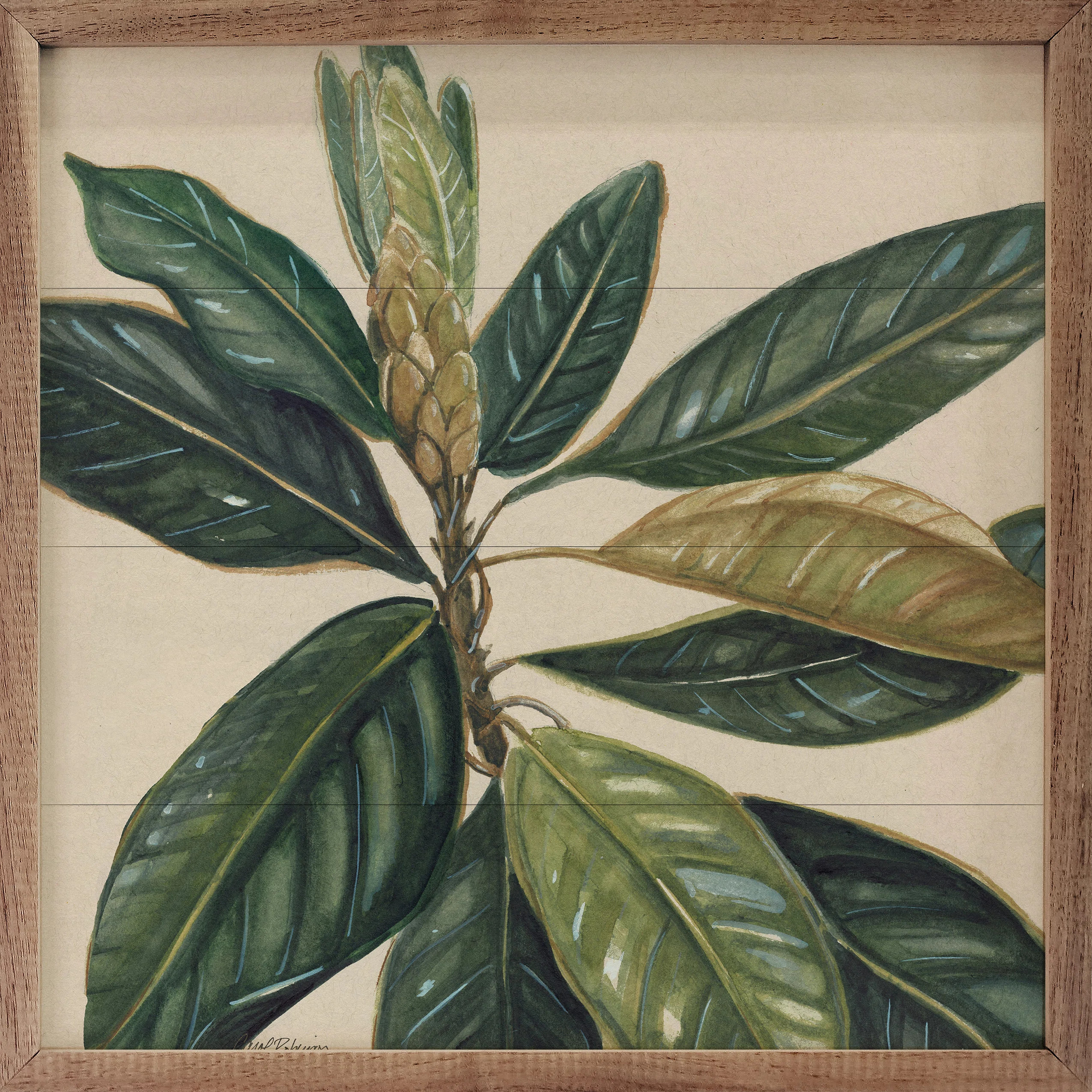 Bay Isle Home™ Magnolia Leaves II by Carol Robinson - Floater Frame Print on Wood | Wayfair | Wayfair North America