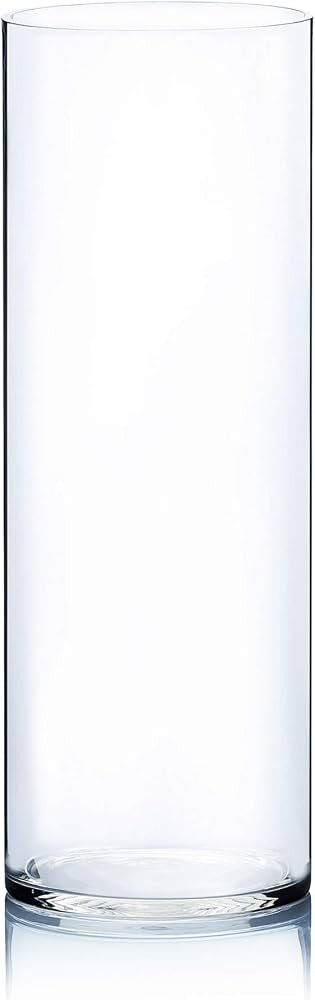 WGV Cylinder Vase, Width 7", Height 20", Clear Wide Large Diameter Glassware, Floral Container, P... | Amazon (US)