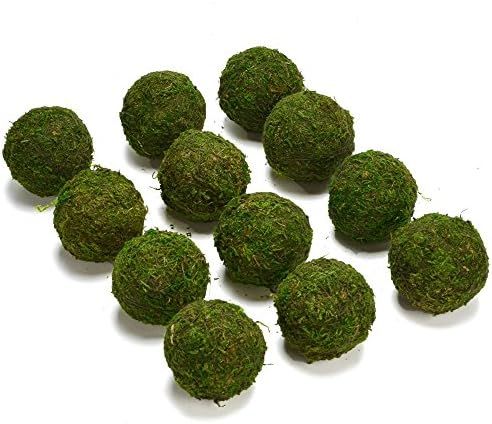 Byher Natural Green Moss Decorative Ball,Handmade (2"-Set of 12) | Amazon (US)