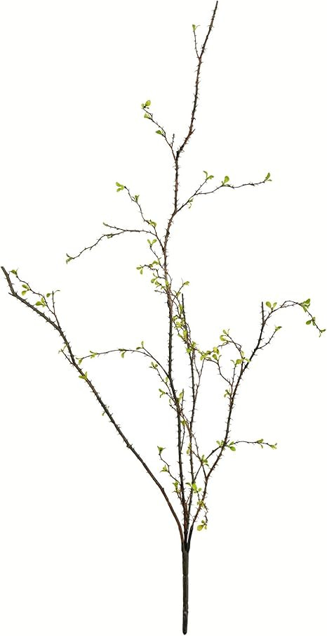 Vickerman Everyday 33" Indoor Artificial Green Baby Leaf Branch - Realistic Looking Colorful Foli... | Amazon (US)