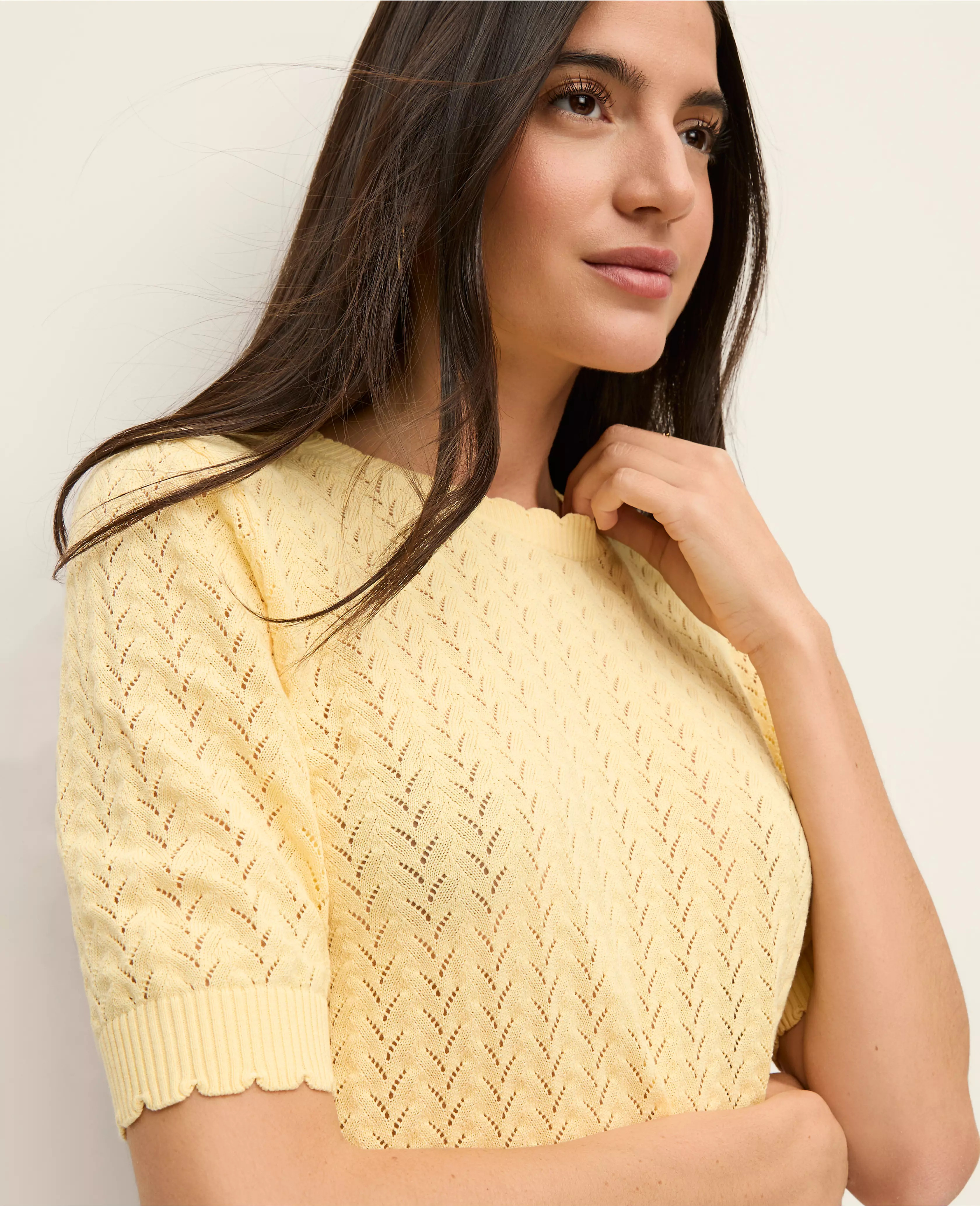 Pointelle Sweater Tee | Ann Taylor