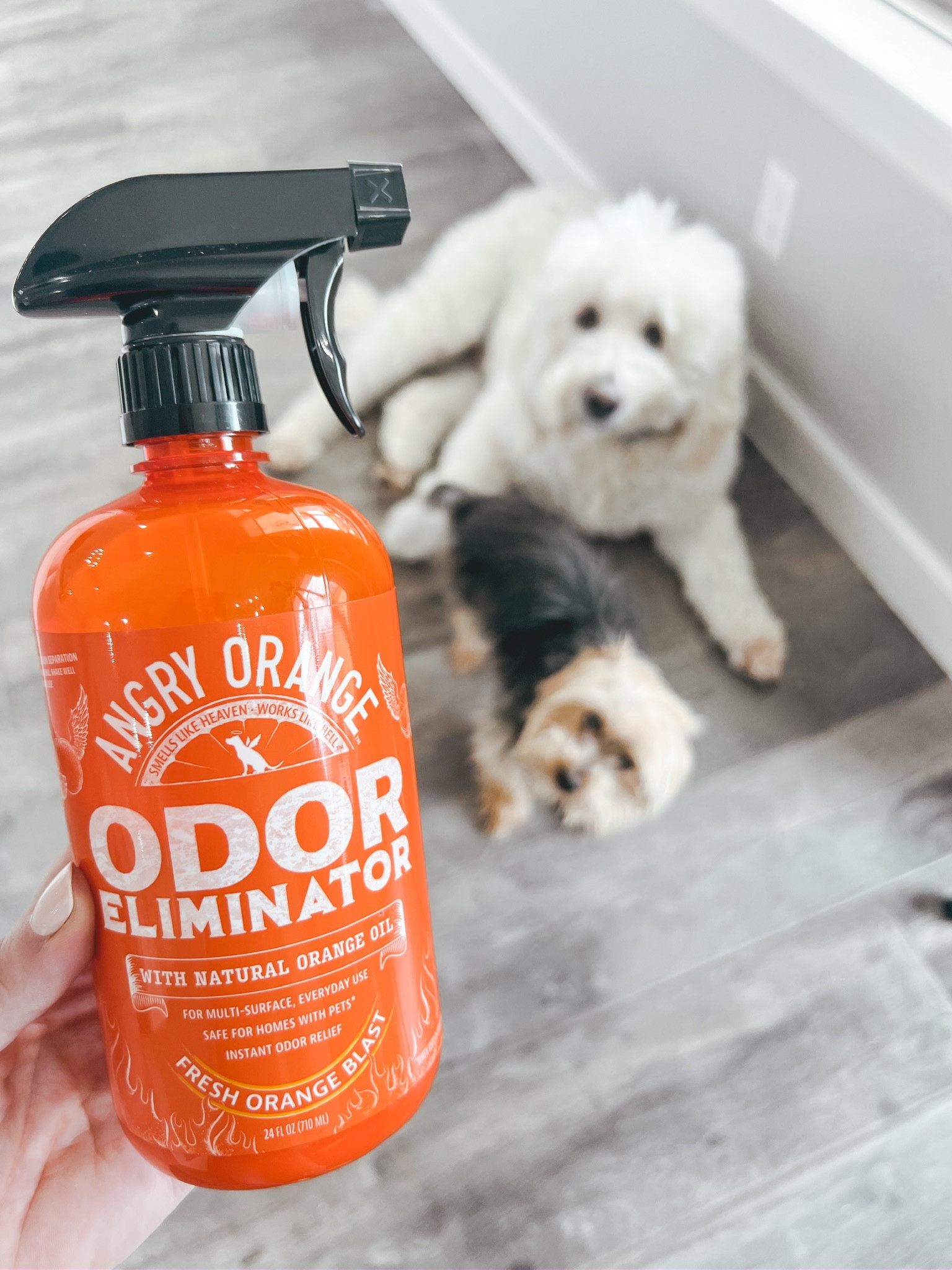 If you have a dog, this pet odor elimination is a MUST-have. It can remove any pee smell from carpet, grass, tile or furniture!

#LTKFind #LTKhome