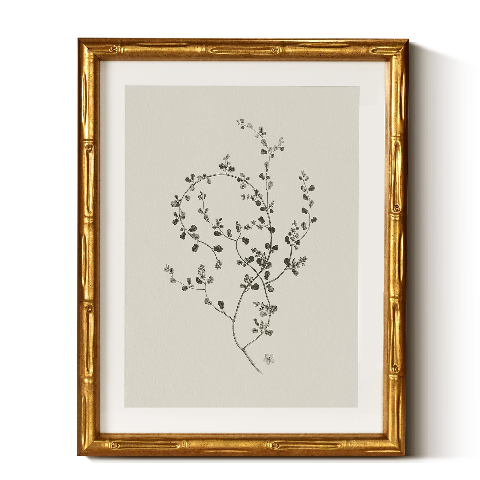 InSimSea Gold Bamboo Framed Canvas Wall Art, Minimalist Floral Botanical Paintings, Antique Vinta... | Amazon (US)