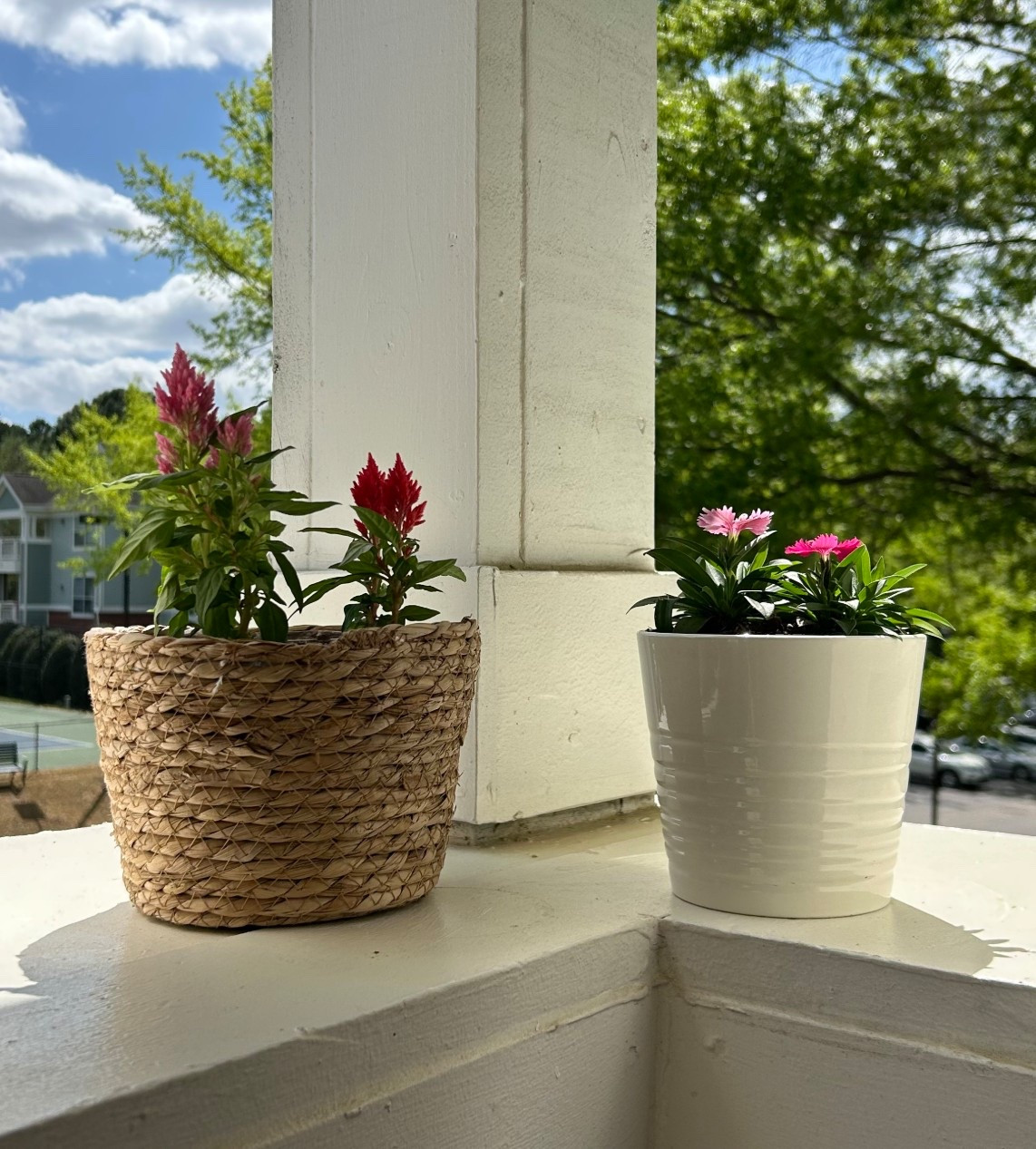 spring florals 🌸


#flowers #plants #garden #pot #basket #spring #outdoor 

#LTKSeasonal #LTKHome #LTKdayinmylife