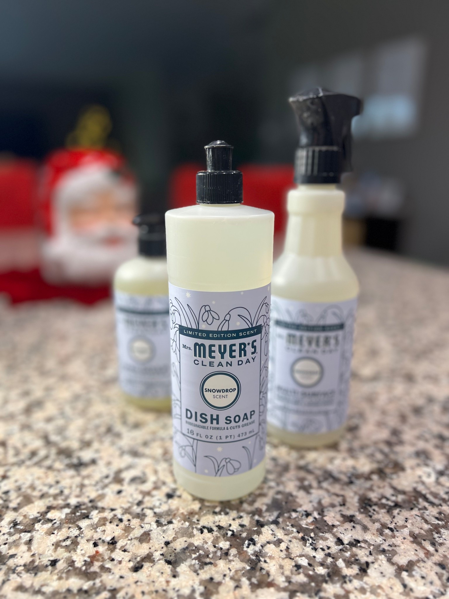 Cleaning products 

#LTKHome #LTKHoliday