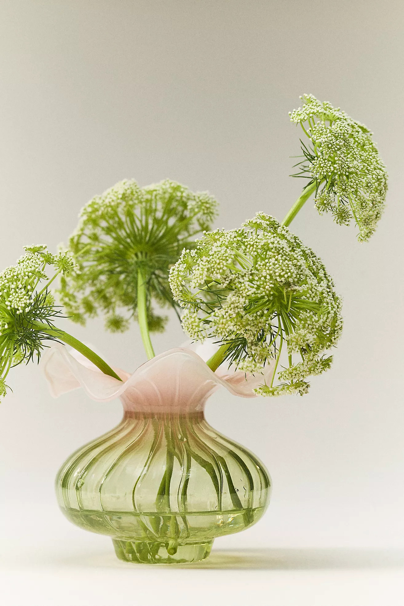 Lucy Ruffle Glass Vase | Anthropologie (US)