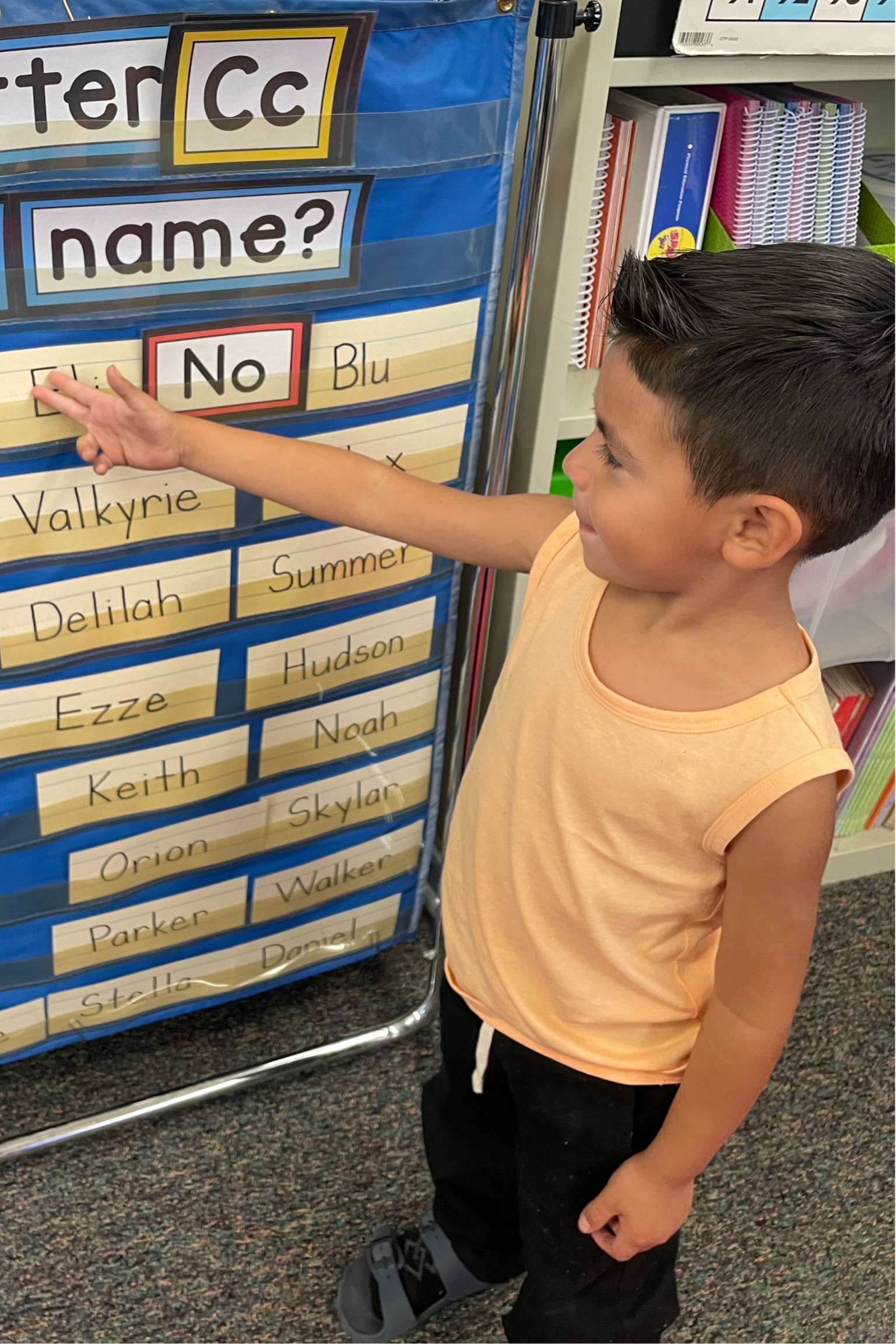 The most affordable tanks I’ve bought!

#LTKSeasonal #LTKKids