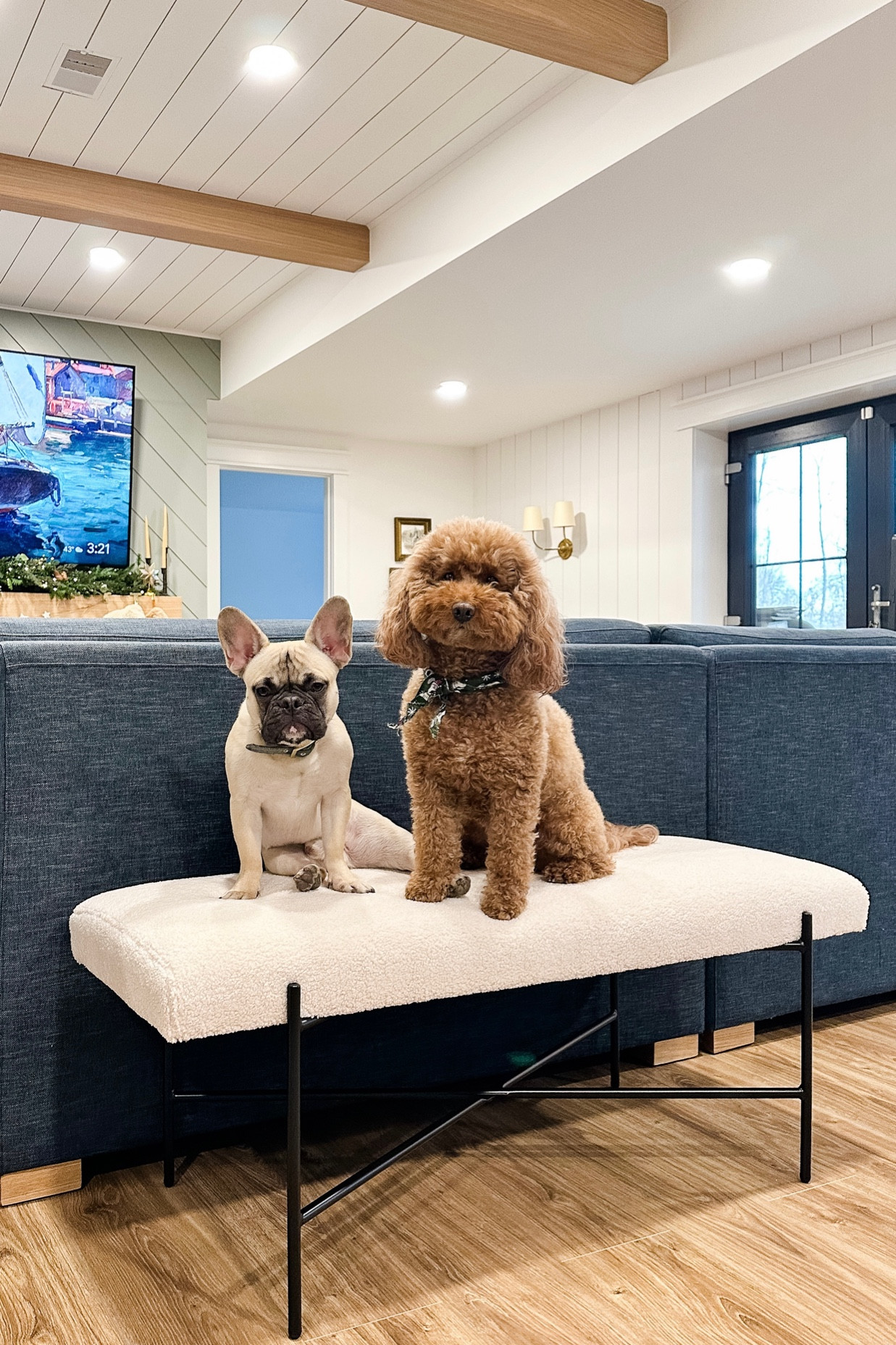 We love this bench we found @target and we’re so glad it comes in so handy. It faces our ping pong table so, whenever anyone is waiting for their turn, they get to sit on this cute bench! 

#LTKfamily #LTKHoliday #LTKhome