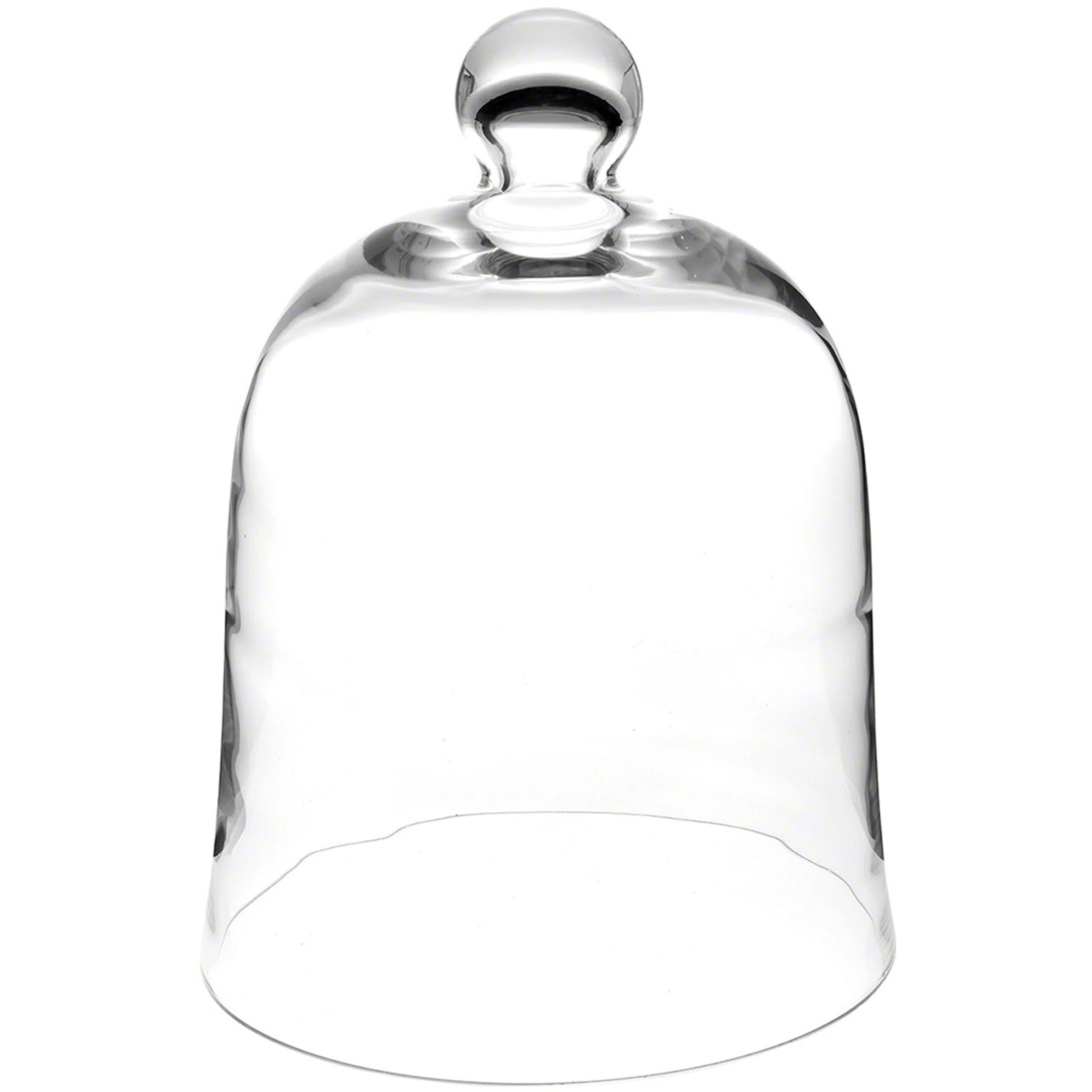 Bettzy Display Dome Cloche | Wayfair North America