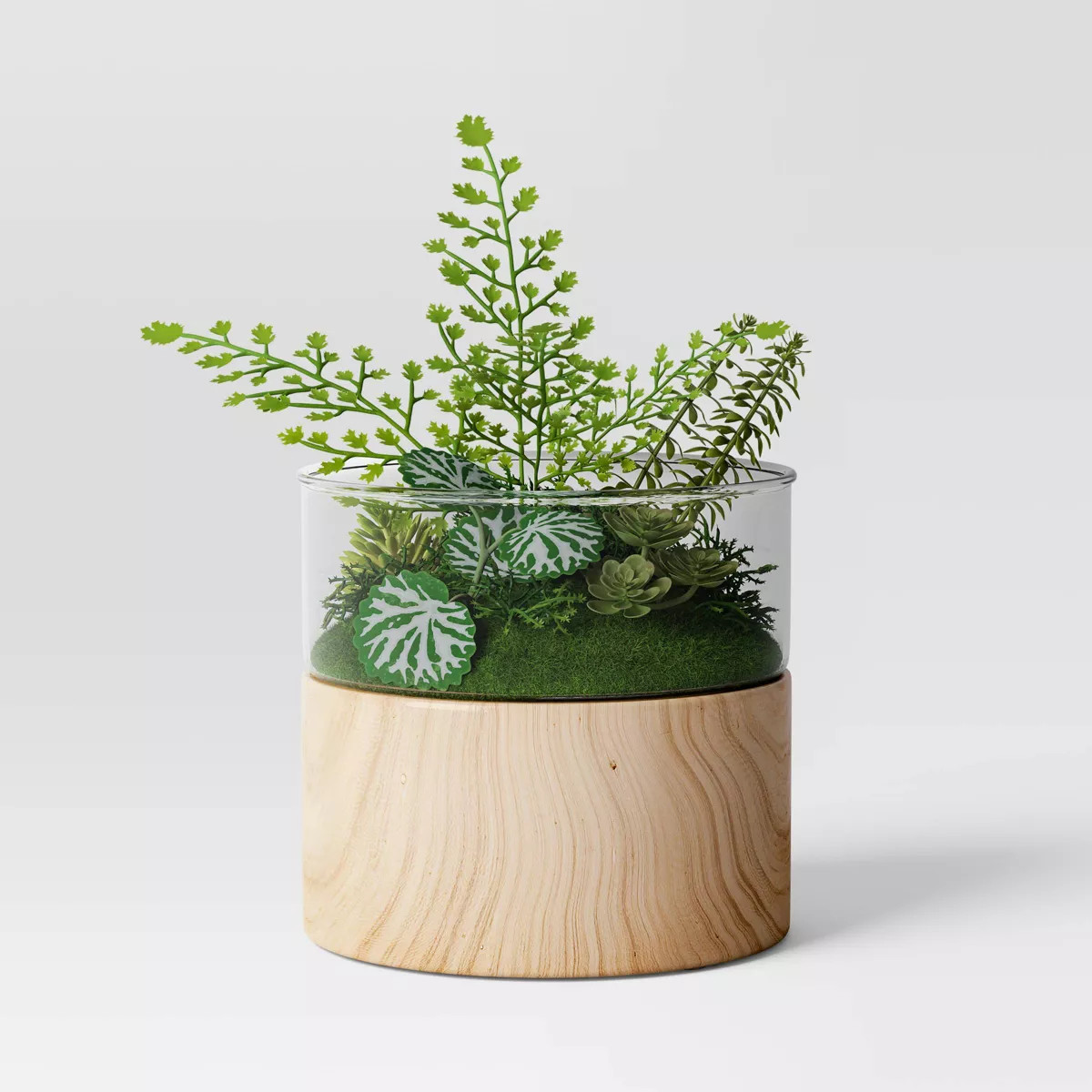 Round Wood Terrarium - Threshold™ | Target