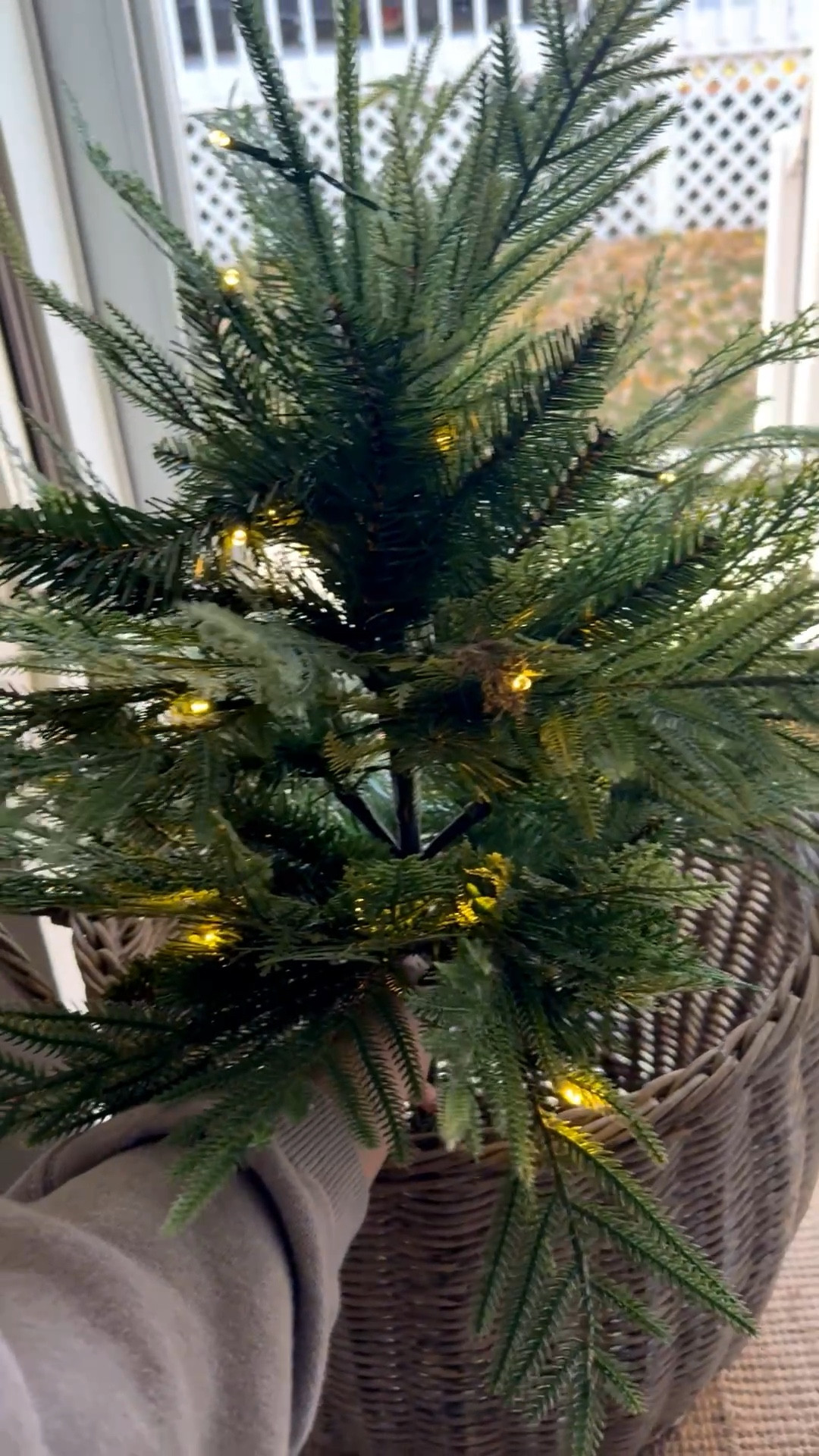 Some good evergreen fauxs for outside pots

On sale!!


#sale #target #outdoor #christmas #organizeddwelling 

#LTKSeasonal #LTKHoliday #LTKSaleAlert