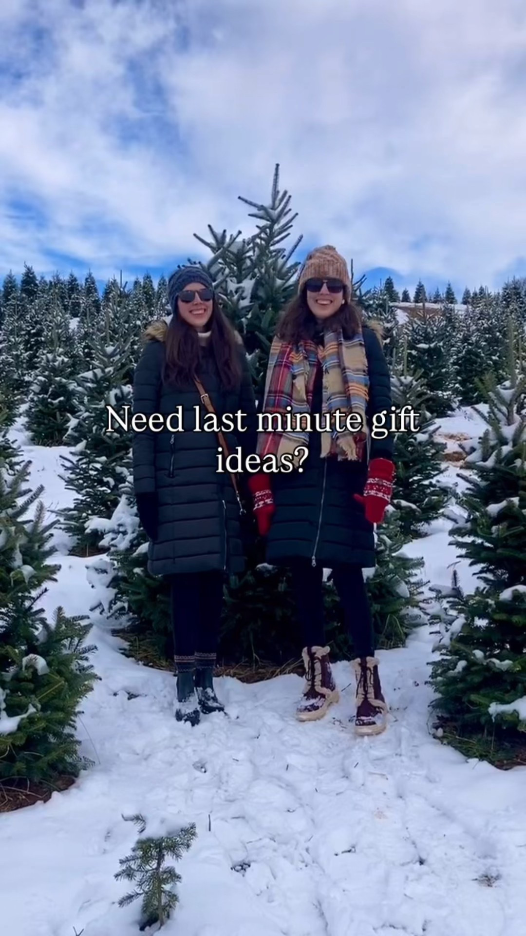 Need last minute gift ideas? 🎁

We are twin sisters in our 30s and these are some of our favs 

#LTKSeasonal #LTKHoliday #LTKGiftGuide